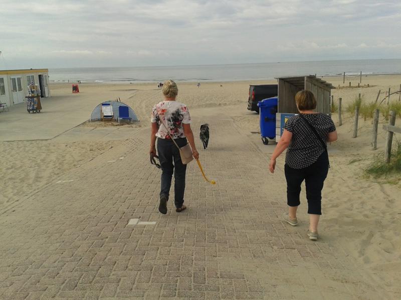 Strand Texel