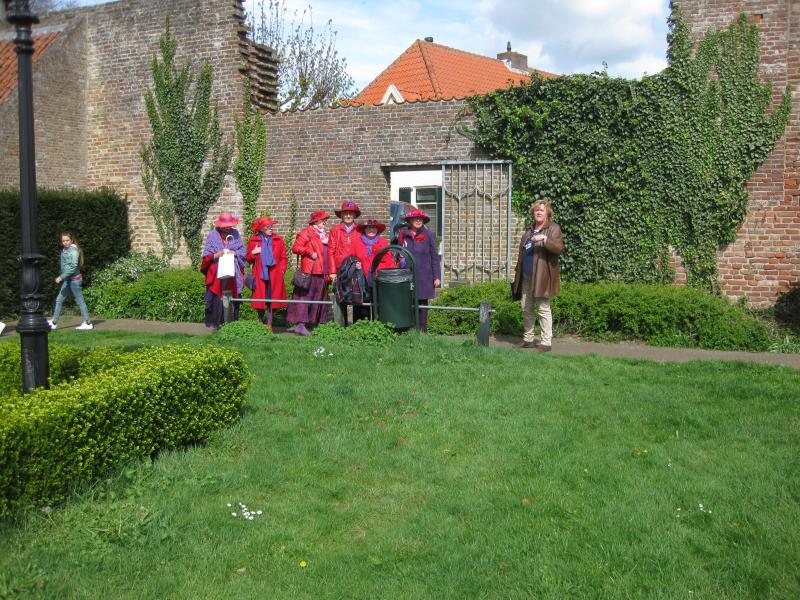 Tuin